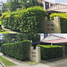 Maybe you would like to learn more about one of these? Gardening Maintenance Clean Up Costs 2021 Oneflare