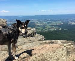 Elise Wallace ('11) is taking a physical and spiritual journey the length  of the Appalachian Trail while documenting her conversations with fellow  hikers.