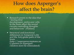 How an asperger's brain is different than yours. Asperger S
