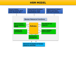 Nature Of Business Organizations And Human Resource Management