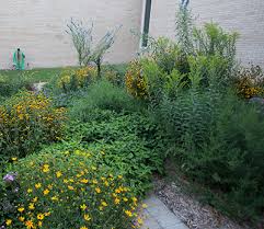 Kansas and arkansas aren't so far from each other on the map, but their names seem to want kansas was named for the kansa, a siouan tribe that lived in the region. Plant A Garden Deep Roots Kc