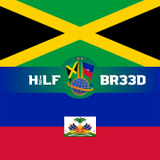 Maybe you would like to learn more about one of these? Jamaica Haiti Flag Half Breed H1 2lf Br33d