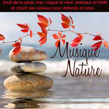 Beaucoup de pluie dans le sud et un temps plus. Musique Nature Bruit De La Pluie Mer Vague Et Vent Animaux Et Foret Et Chant Des Oiseaux Pour Detente Et Relax By Printemps Et Detente Fleurs De Printemps On Tidal
