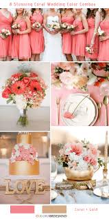 To capture these images it was necessary to apply the technique of time lapse as the slow movements of these animals are very difficult to see at a glance. 8 Stunning Coral Wedding Color Combinations You Ll Love Colorsbridesmaid