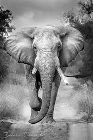 Edith Castruita (edithcastruita)