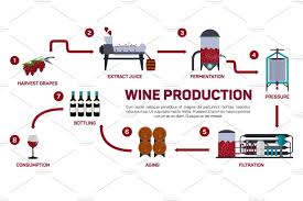 Vector Illustration Of Winemaking Winemaking Vector Illustration Alcoholic Drinks