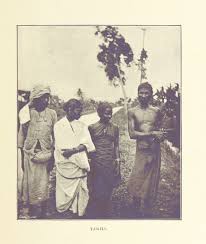 In peninsular malaysia, malay is the official language of the courts. Tamil Malaysians Wikipedia