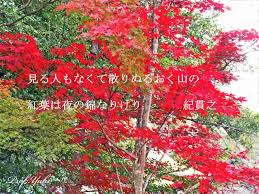 木々が紅葉に彩られると 学生時代に習ったあの和歌が思い出されます 北野天満宮 プロフ ユキのブログ