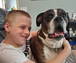 Loss of a Beloved Pet Due to Cancer