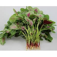 Maybe you would like to learn more about one of these? Buy Amaranth Leaves Green Chaulai Thotakura Online In Visakhapatnam At Best Price Vizaggrocers Com Vegetables