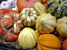 We did not find results for: Winter Squash Wikipedia