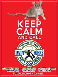 Shallow hal soundtrack 08 this is my world darius rucker. Calameo Dan S Papers May 25 2018 Memorial Day Issue 2