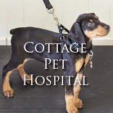 Banfield pet hospital located on churchman road in newark de is a terrible place to take your dog. Cottage Pet Hospital Inc 900 East Broadway Anaheim Reviews And Appointments Topvet