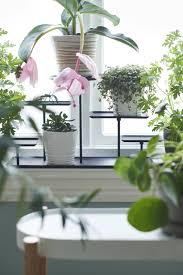 Mobel Einrichtungsideen Fur Jedes Zuhause In 2020 Ikea Plants Windowsill Garden Ikea Hack