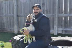 Animal welfare inspector hired to fill gap left by OSPCA in Kawartha Lakes