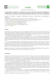 Image result for Actiniopteris pauciloba