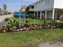 Galveston Garden Cacti And Succulents Succulents Plants