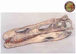 Image result for Suchomimus