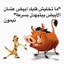 بوستات تيمون وبومبا للفيس بوك صور تيمون وبومبا مكتوب عليها بوستات فوتوجرافر Laughing Quotes Cartoon Quotes Mood Quotes