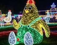 Wholesale LED 3D Motif Animal Christmas Light Customizable ...