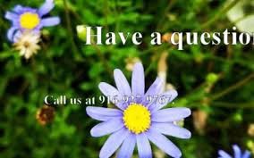 Check spelling or type a new query. Florafresh Inc Wholesale Flowers Sacramento