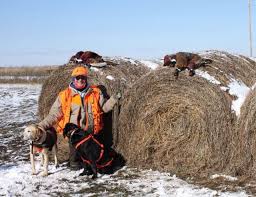Pheasant Can Be Prepared In Many Delicious Ways Good Living Victoriaadvocate Com Riding on the wave of success from larry & steve, macfarlane next turned his attention to where any budding animator would naturally look: many delicious ways