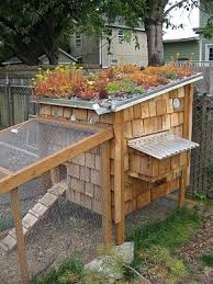 Epingle Par Kim Ferrell Sur Chicken Stuff Tout Pour Le Jardin Poulailler Jardin Poulailler
