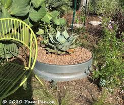 Brand new in still in the box propane smoker with 15,000 btu stainless steel burner, ideal for slow cooking and smoking. Agave Ovatifolia Switcheroo Digging