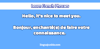 This is the fastest, easiest way to pick up basic french! How To Introduce Yourself In French In 11 Lines