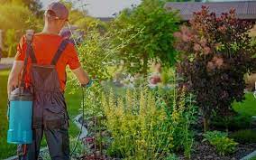This product gives you significant results because it is quickly absorbed by the use in and around vegetable gardens, flower beds, tree rings and mulched beds, as well as on cracks in driveways, walkways. 5 Best Weed Killer For Flower Beds Reviewed And Rated In 2019