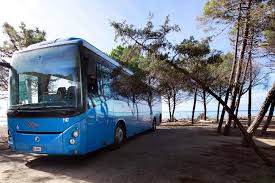 Comune.grosseto@postacert.toscana.it ipa indice delle pubbliche amministrazioni casa comunale. Al Mare Scegliendo Il Bus Piu Sostenibilita E Sicurezza Nell E State Grossetana Maremma Magazine