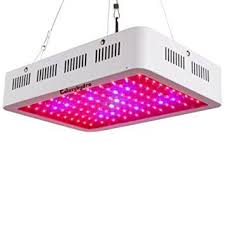 10 Best Led Grow Lights For Cannabis 2020 Complete Buyer S Guide Production Grower