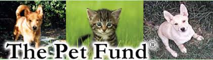 Petpet is a gif generator with your images. The Pet Fund Doris Day Animal Foundation