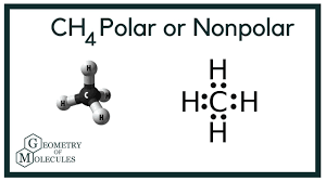 Nh3 is polar for the same reason as water. Is Ch4 Polar Or Nonpolar Methane Youtube