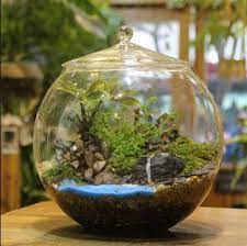 Model Aquarium Toples Unik Harga Murah