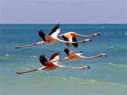 Noticias Principales De Colombia Y El Mundo El Tiempo Paisajes Colombia Fotografia Paisaje