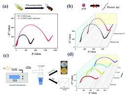 Image result for Modified Apt Test