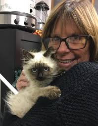 Introducing Sammy!!!💕 Such a sweet playful kitten Sammy loves to play and  then have a snuggle- especially likes his belly rubbed! 🐾💕 He is gentle  and sweet with dogs. He will be