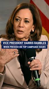 'LET ME JUST SAY...': Vice President Harris rambles when being pressed