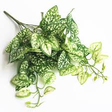 Harvest as many new potatoes as you need for the next day or two. Buy Artificial Fake Flower Green Leaf Ornamental Plants Radish Sweet Potato Leaves At Affordable Prices Price 13 Usd Free Shipping Real Reviews With Photos Joom