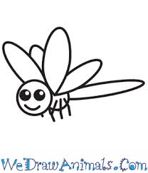 There are more than 5,000 species of dragonflies. How To Draw A Simple Dragonfly For Kids
