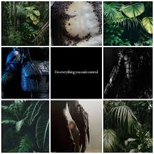 Here Is A Collection Of My Yautja One Offs It Ranges From Fluffy Romance Romance Amreading Books Wattpad Art Block Scarface Predator