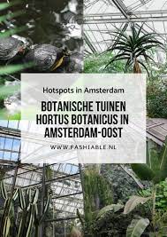 hortus botanicus in amsterdam botanische tuinen amsterdam tuin