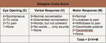 gkascow coma scale