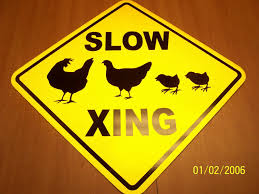 Chicken crossing 12 x 12 aluminum novelty sign. Best Chicken Crossing Sign For Sale In Warsaw Missouri For 2021