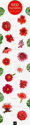 You'll find everything from common favorites like roses and tulips to exotic plants and flowers. 40 Types Of Red Flowers Ftd Com Red Flower Names Flower Images With Name Flower Names