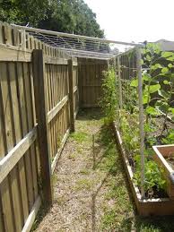 Pvc Trellis Diy Garden Trellis Diy Garden Fence Diy Trellis