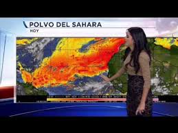 Prepárate con el pronóstico para los próximos 10 días más preciso para hialeah, fl. Informe Del Tiempo Cheap Online