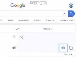 Save and share your meme collection! Cj French Google Translate Meme Youtube French Meme Memes Google Translate