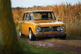 Image result for Giallo 1973 Alfa-Romeo